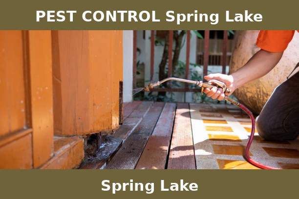 PEST CONTROL Spring Lake